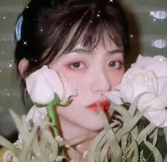 祇羡鸳鸯不羡仙